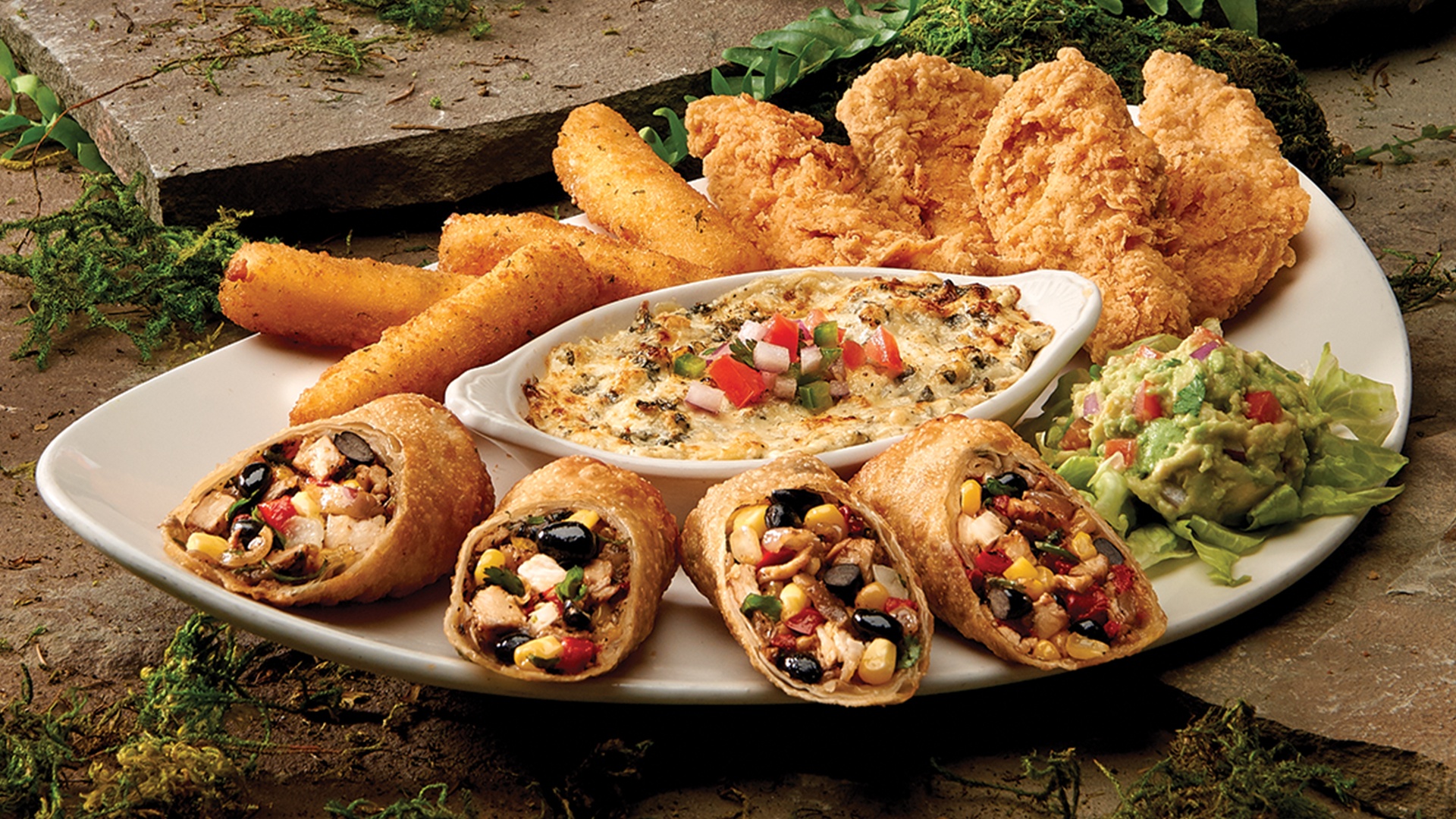 Rainforest Cafe Hours Today Rainforest Cafe Hours Today